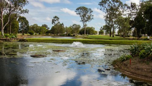 Wide Bay Spring Carnival